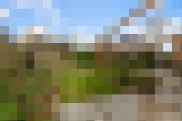 De Bregjesakker 14 Koedijk thumbnail 45