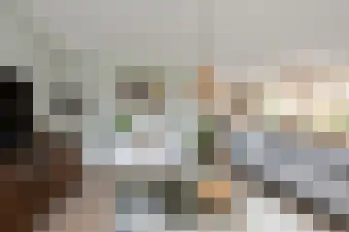 De Bregjesakker 14 Koedijk thumbnail 5
