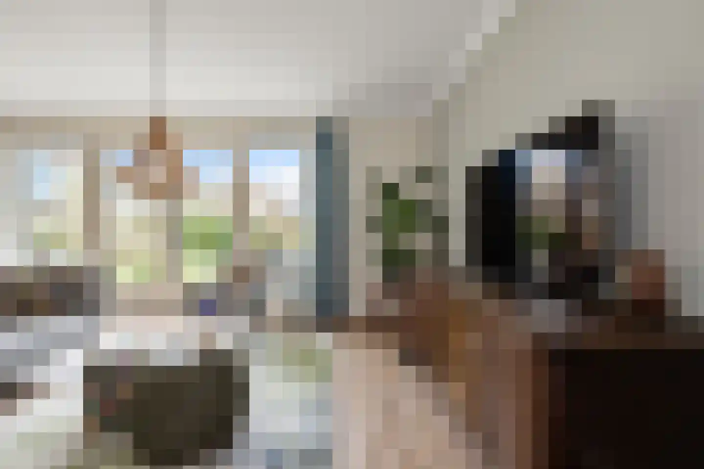 De Bregjesakker 14 Koedijk thumbnail 6