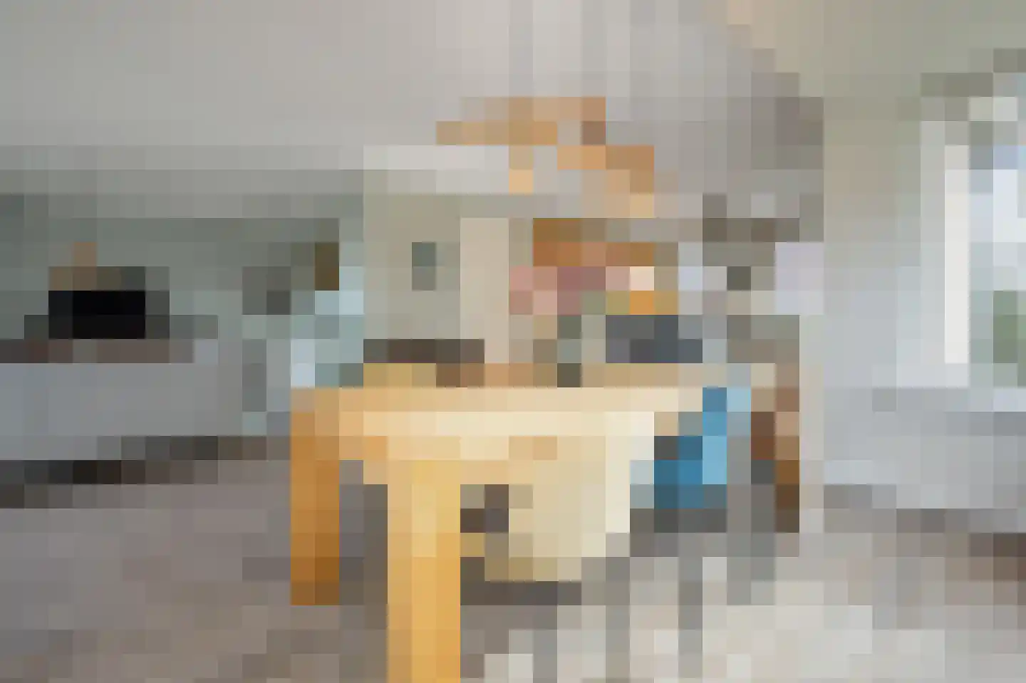 De Bregjesakker 14 Koedijk thumbnail 8
