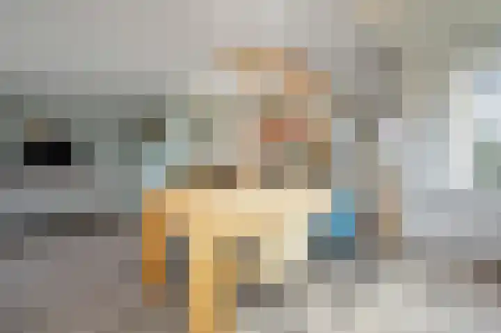 De Bregjesakker 14 Koedijk thumbnail 8