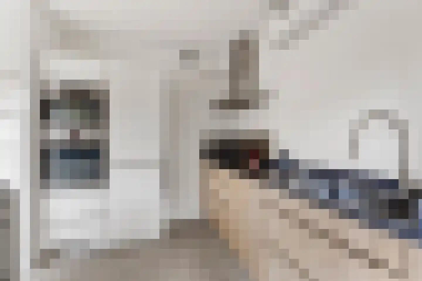 De Bregjesakker 8 Koedijk thumbnail 13
