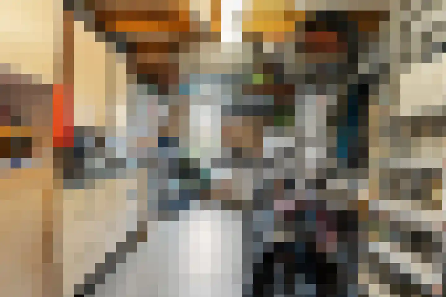 De Bregjesakker 8 Koedijk thumbnail 18