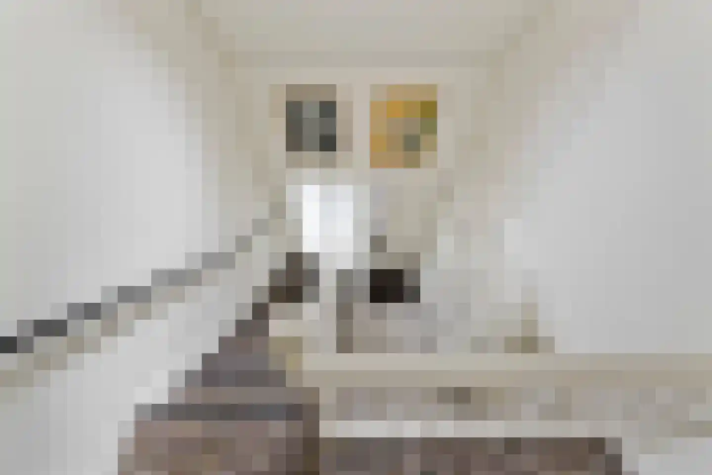 De Bregjesakker 8 Koedijk thumbnail 21