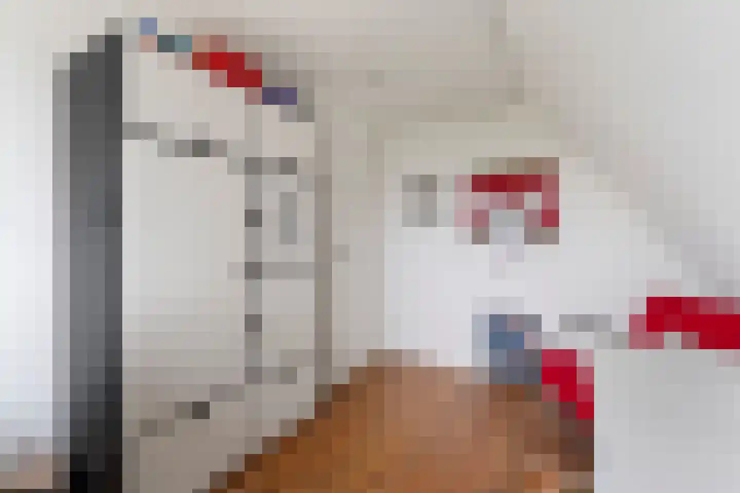 De Bregjesakker 8 Koedijk thumbnail 30