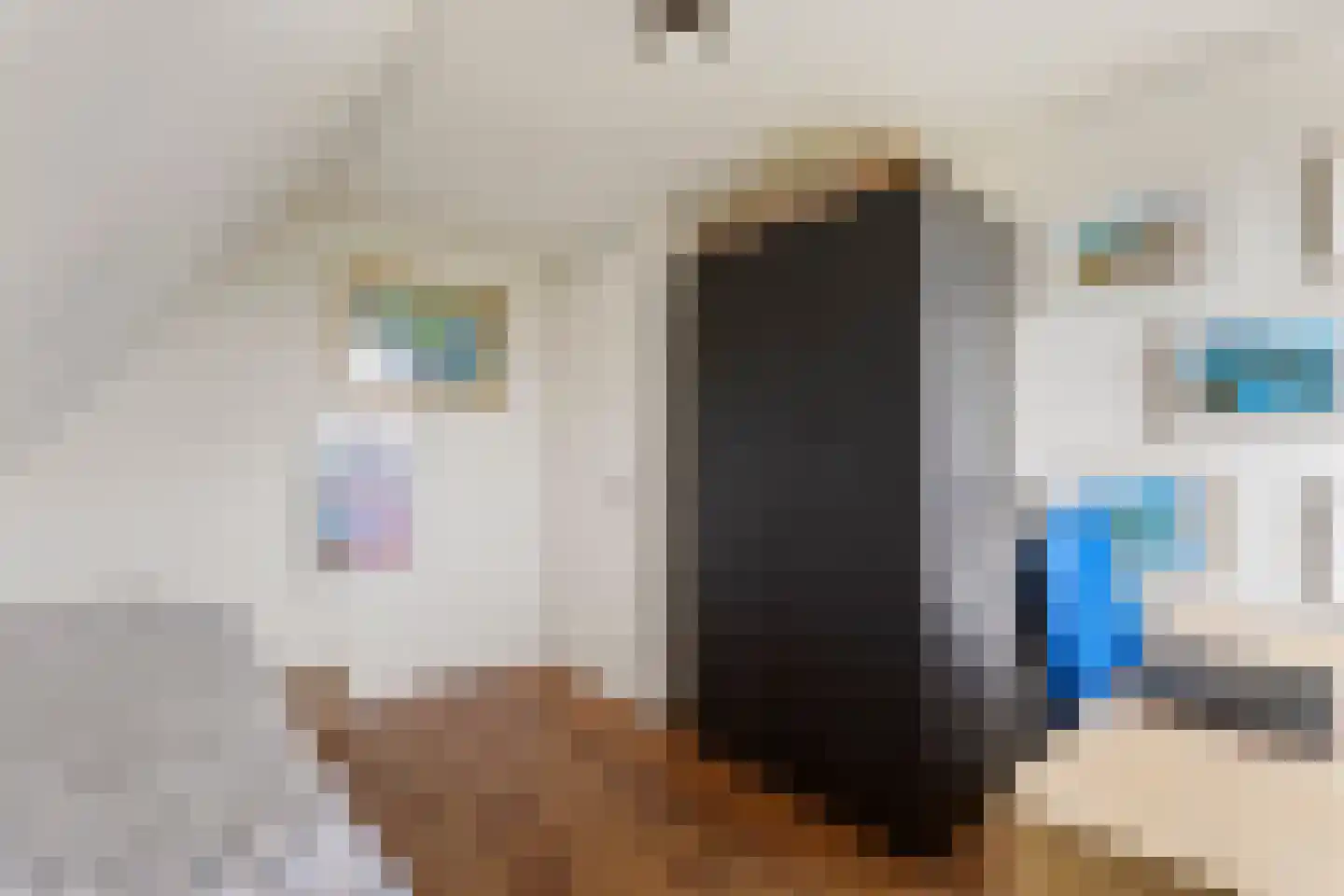 De Bregjesakker 8 Koedijk thumbnail 32