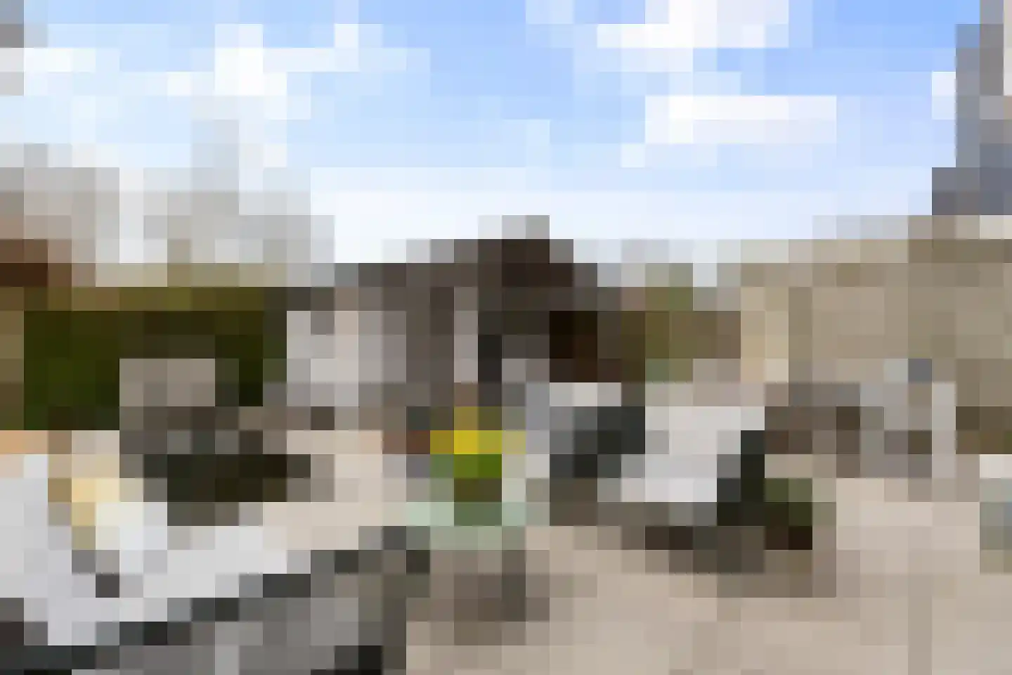 De Bregjesakker 8 Koedijk thumbnail 34