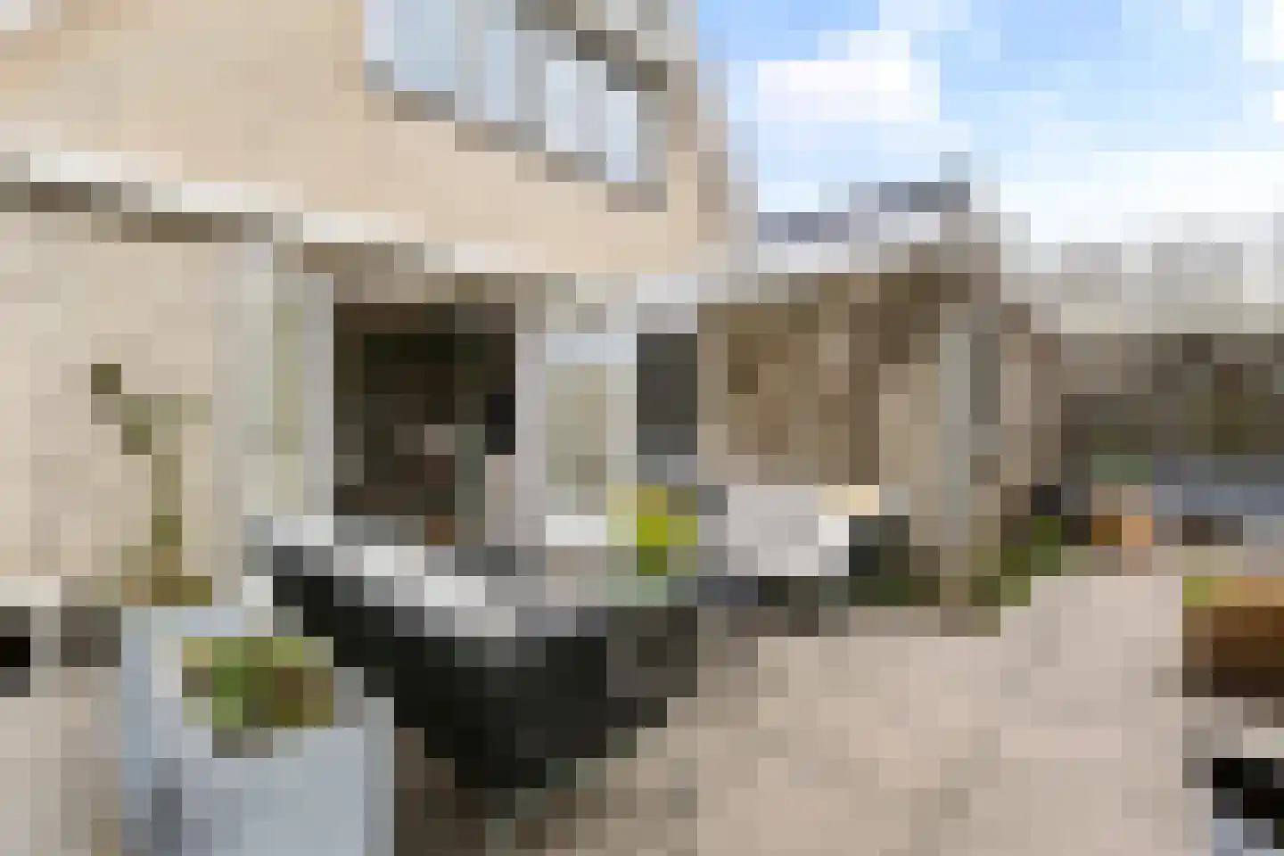 De Bregjesakker 8 Koedijk thumbnail 36