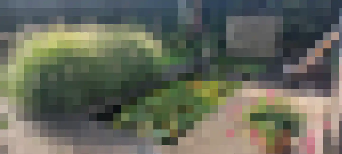 De Bregjesakker 8 Koedijk thumbnail 38