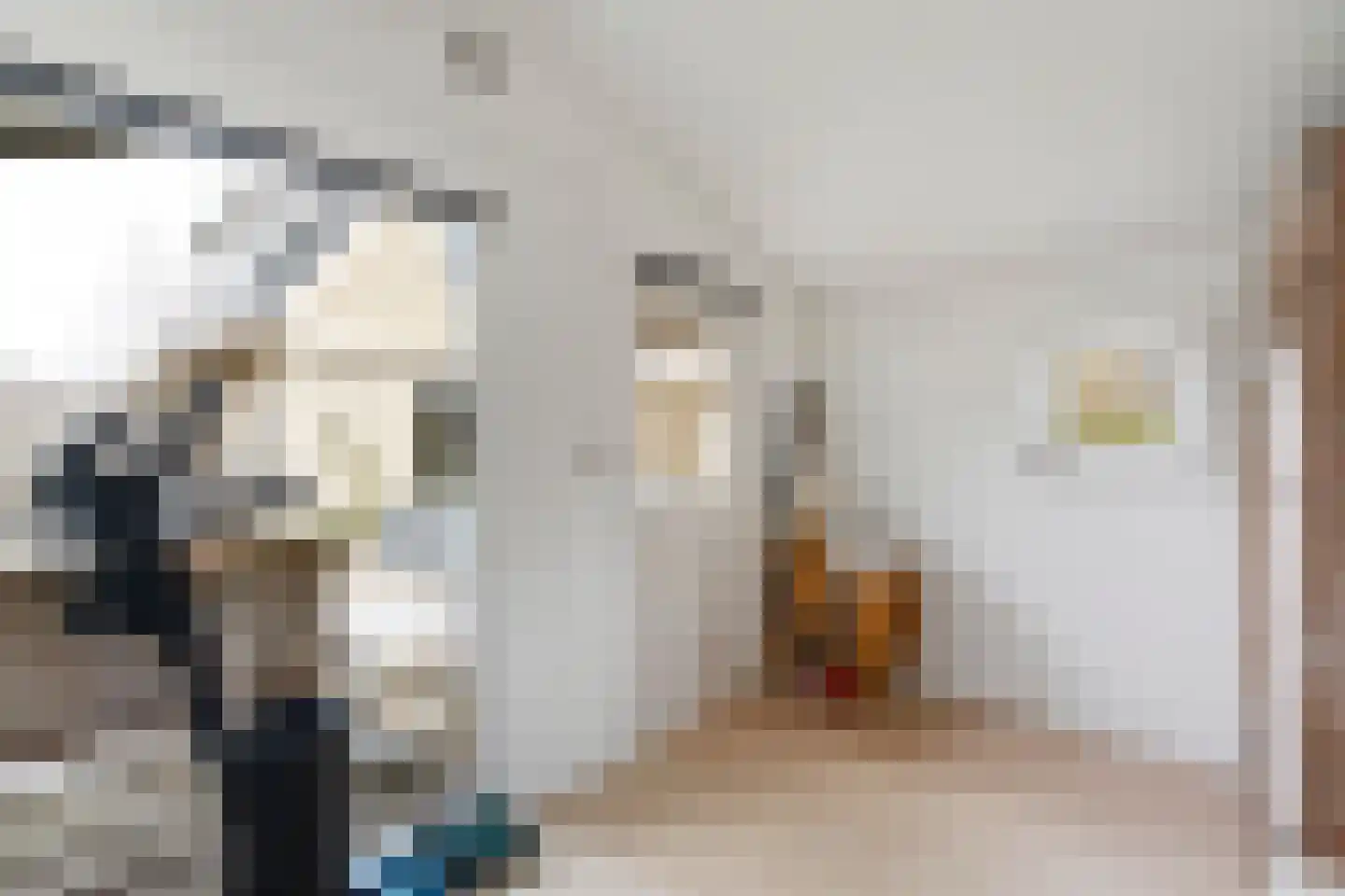 De Bregjesakker 8 Koedijk thumbnail 41