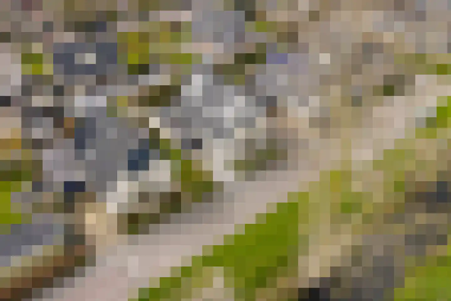 De Bregjesakker 8 Koedijk thumbnail 45