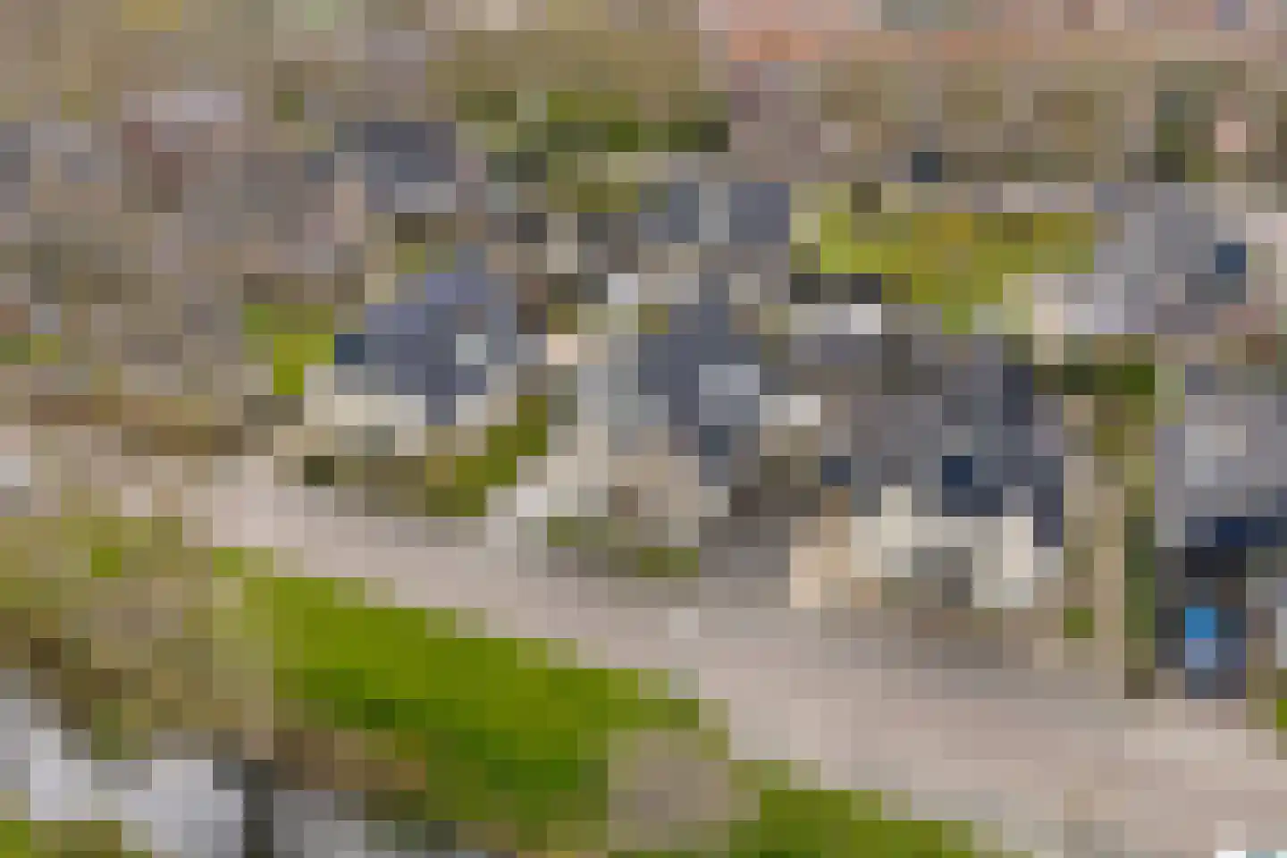 De Bregjesakker 8 Koedijk thumbnail 46