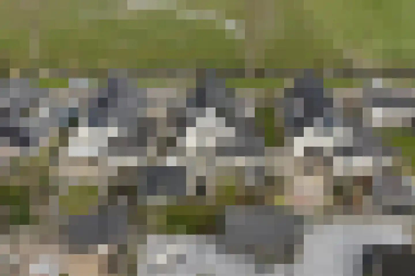 De Bregjesakker 8 Koedijk thumbnail 47