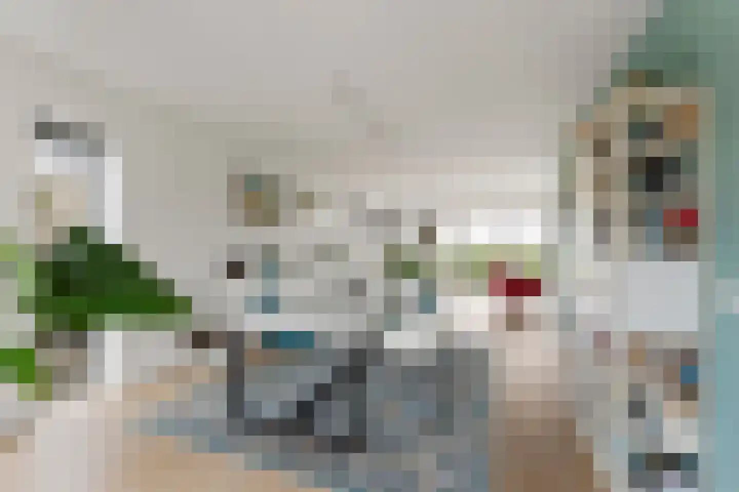 De Bregjesakker 8 Koedijk thumbnail 6