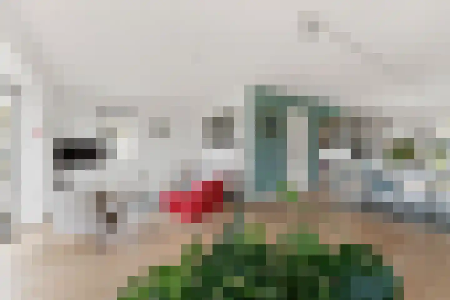 De Bregjesakker 8 Koedijk thumbnail 7