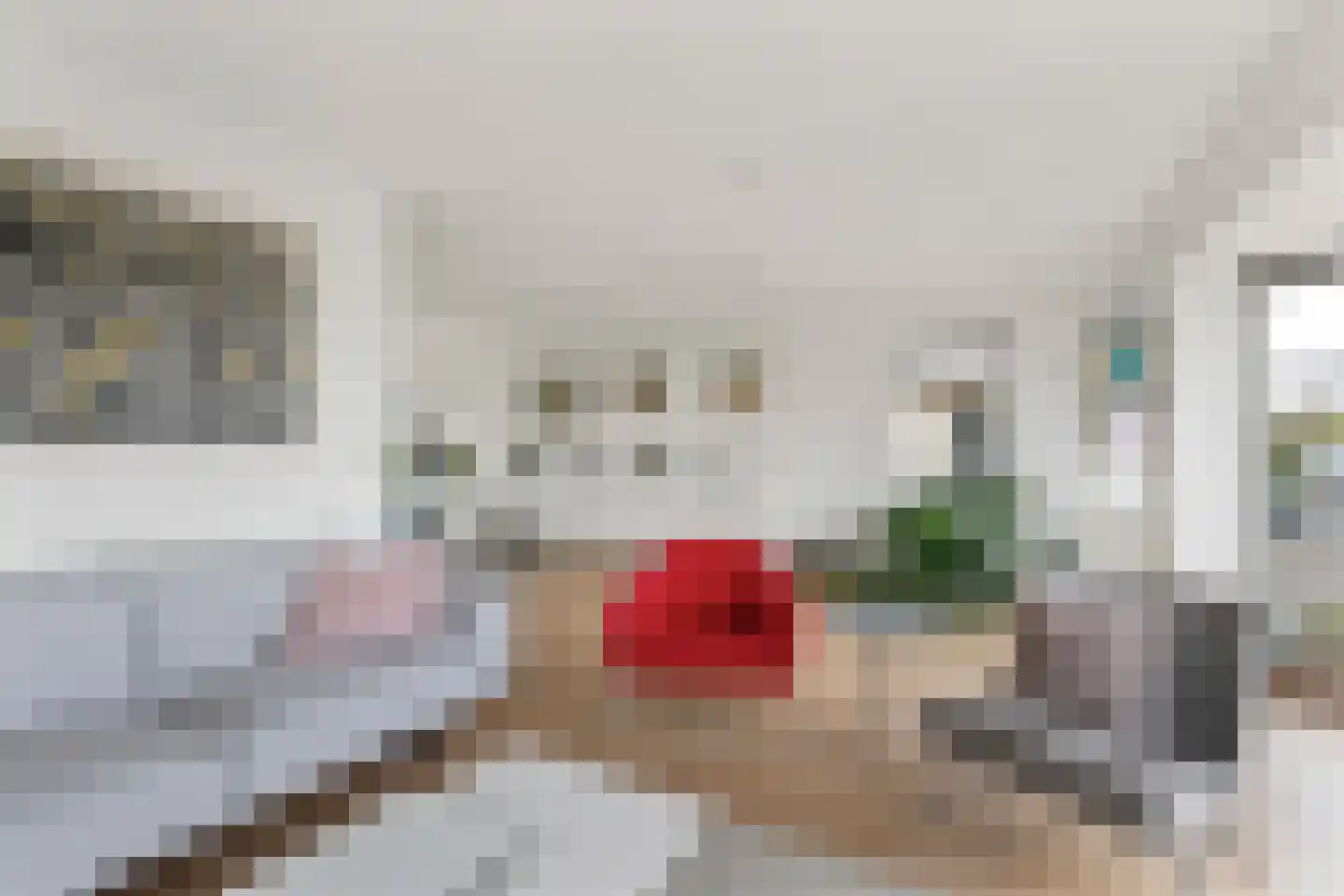 De Bregjesakker 8 Koedijk thumbnail 8