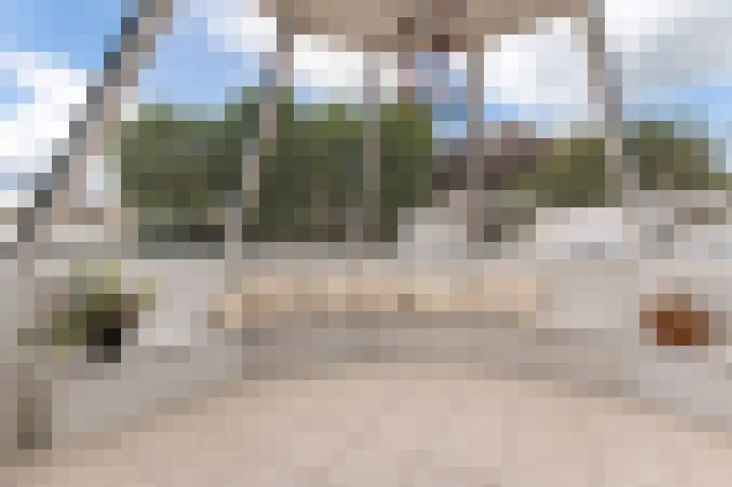 De Breide 10 Doesburg thumbnail 15