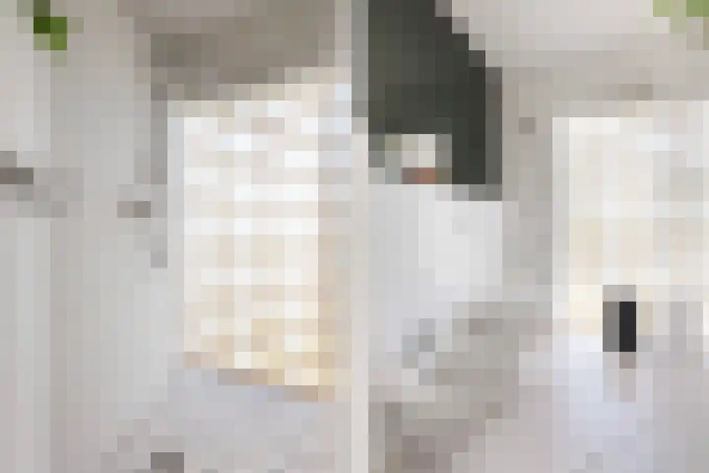De Breide 10 Doesburg thumbnail 27