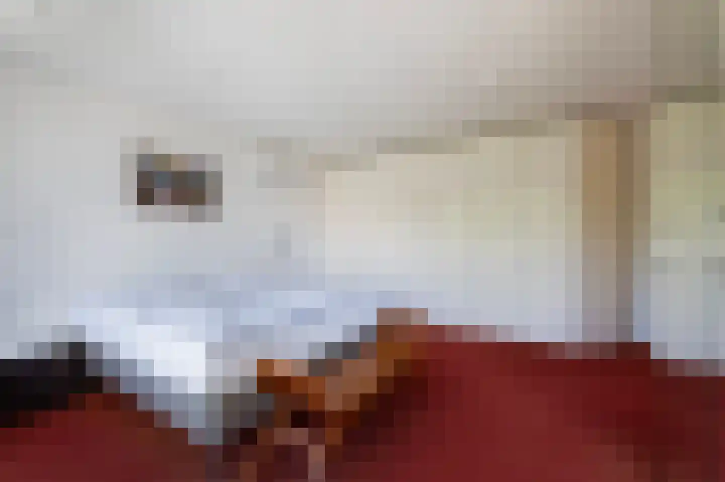 De Breide 10 Doesburg thumbnail 31