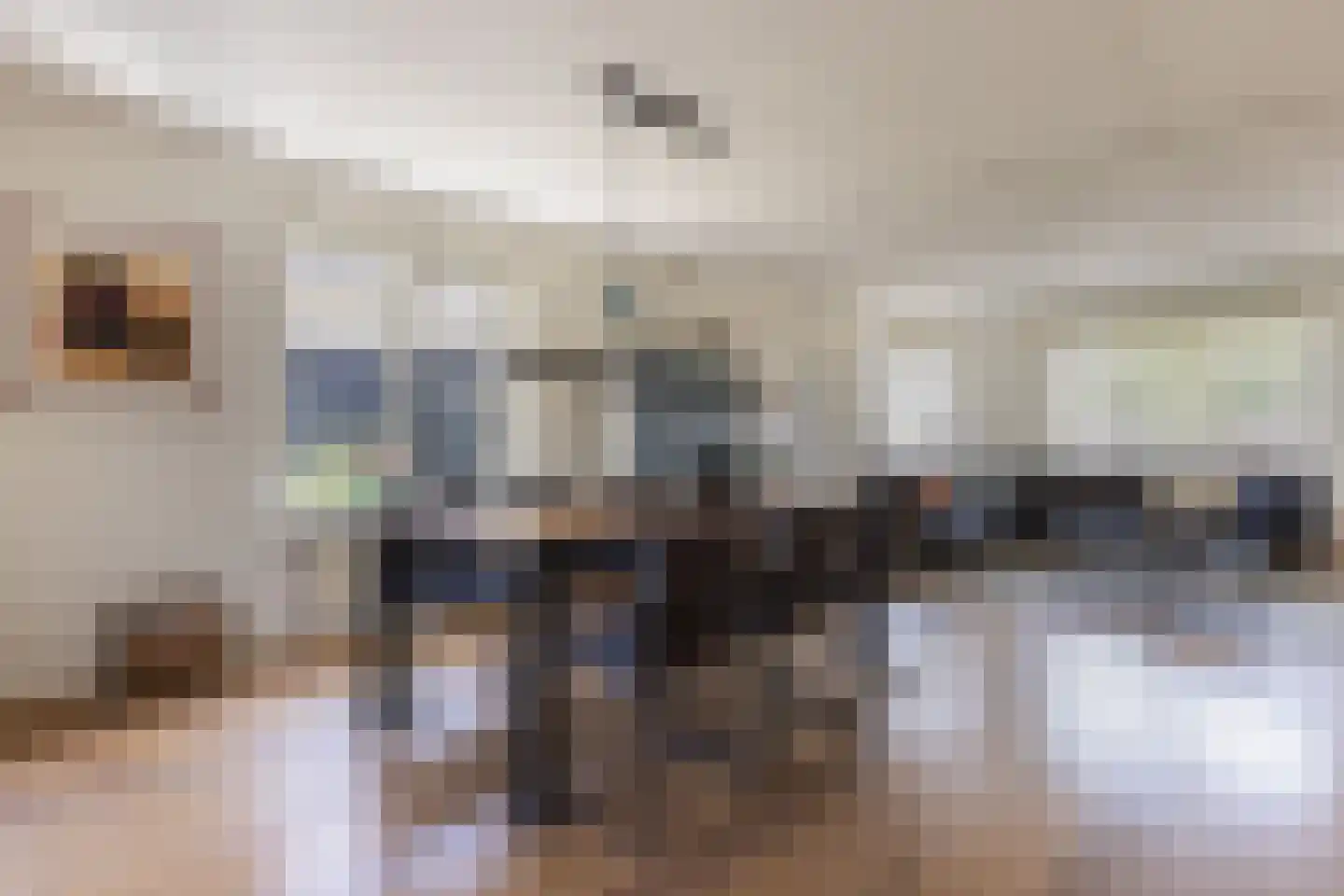 De Breide 6 Doesburg thumbnail 24