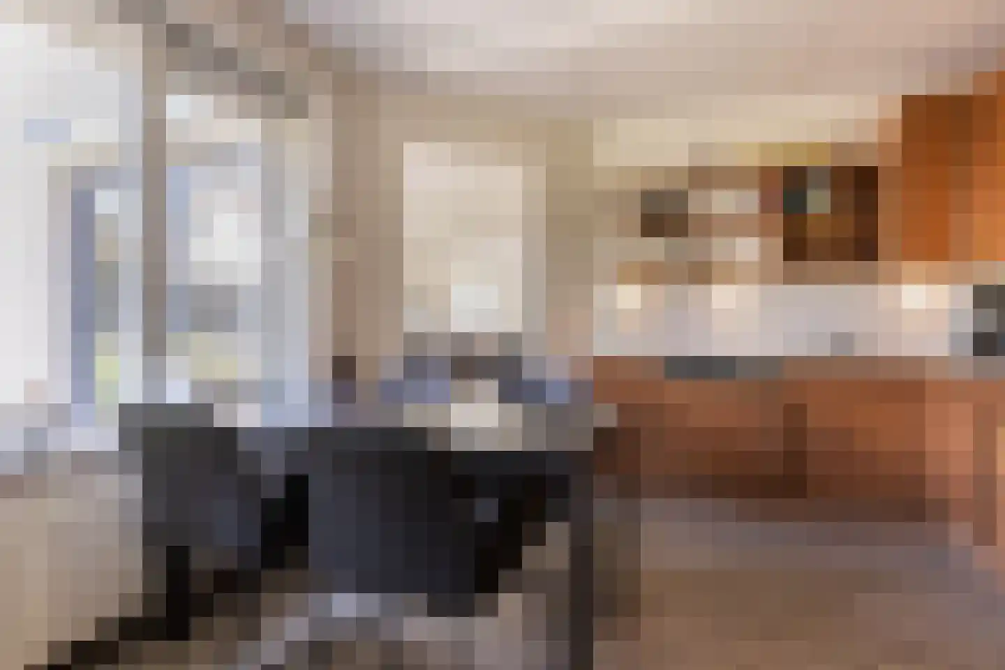 De Breide 6 Doesburg thumbnail 33