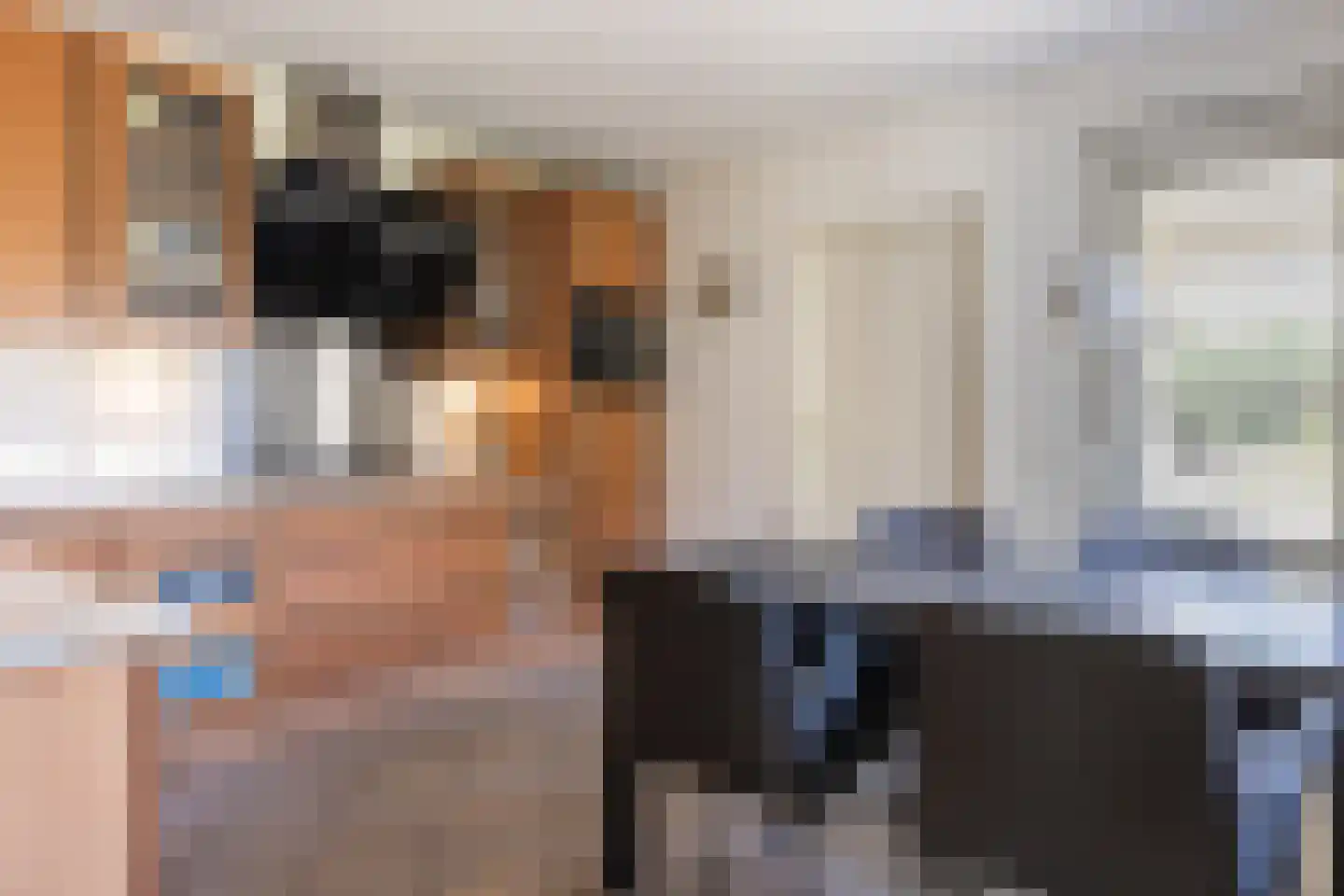 De Breide 6 Doesburg thumbnail 34