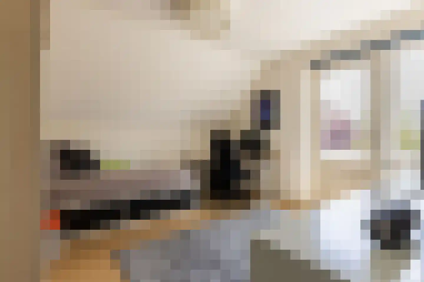 De Breide 6 Doesburg thumbnail 37