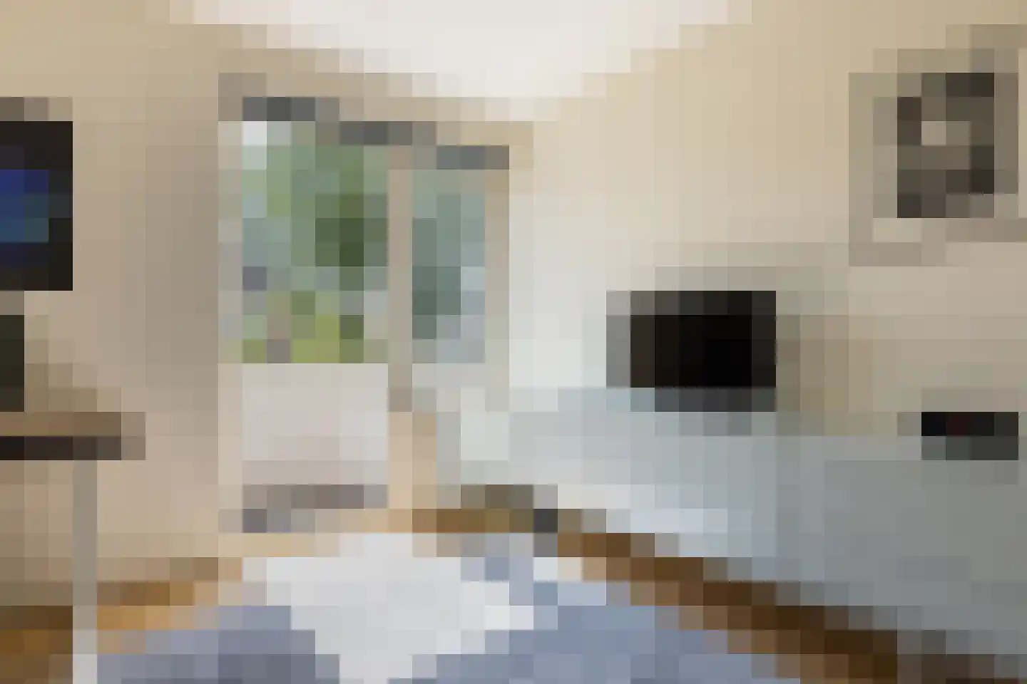 De Breide 6 Doesburg thumbnail 38