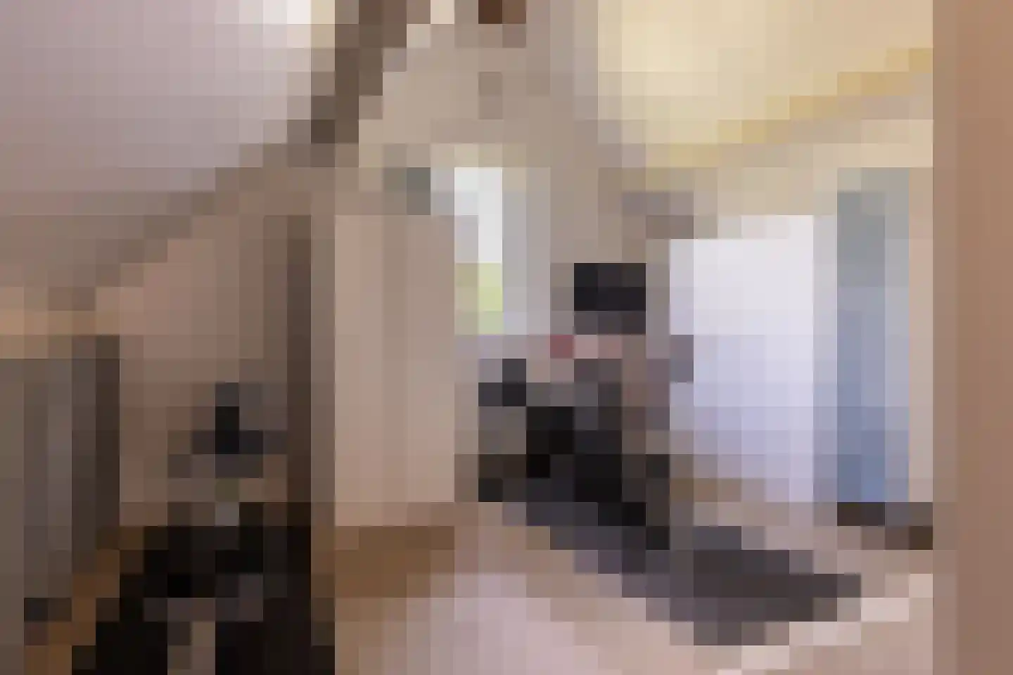 De Breide 6 Doesburg thumbnail 43