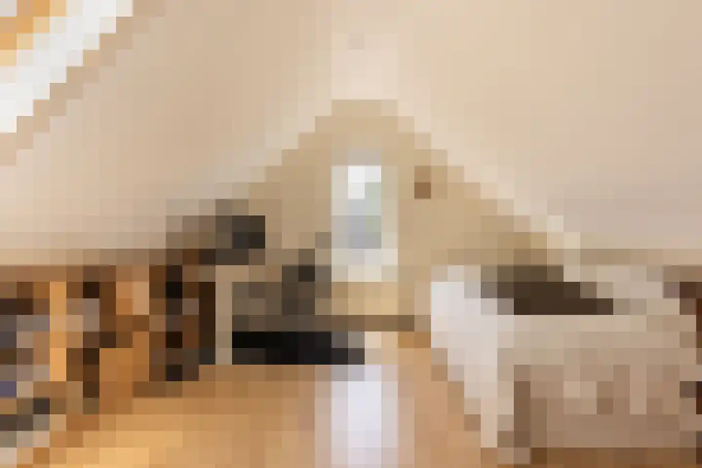 De Breide 6 Doesburg thumbnail 48