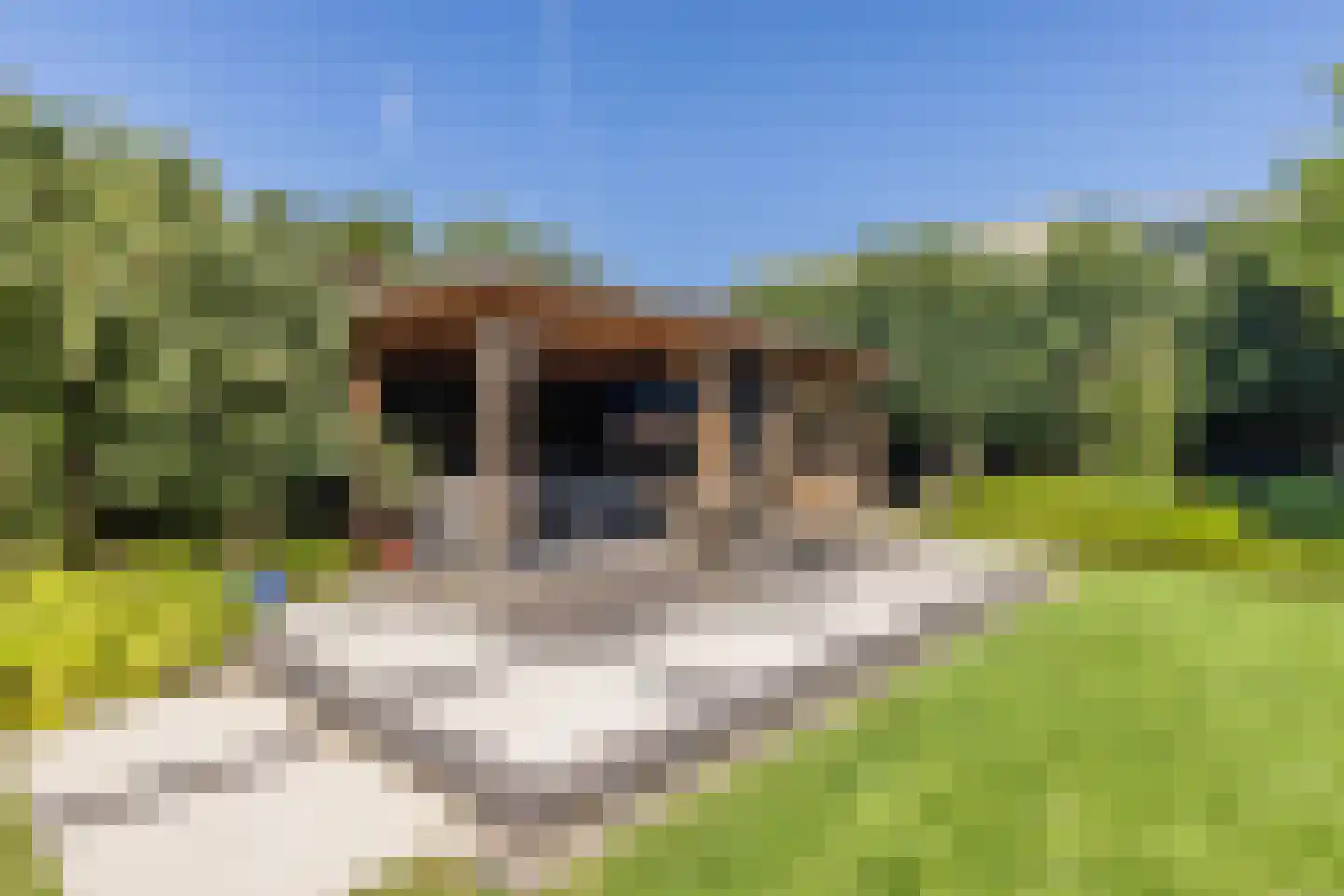 De Breide 6 Doesburg thumbnail 67
