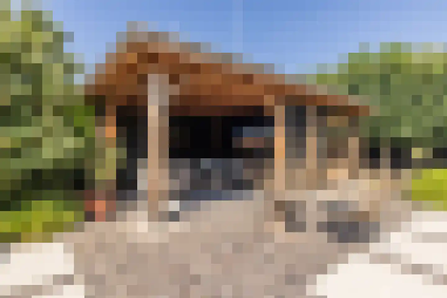 De Breide 6 Doesburg thumbnail 68