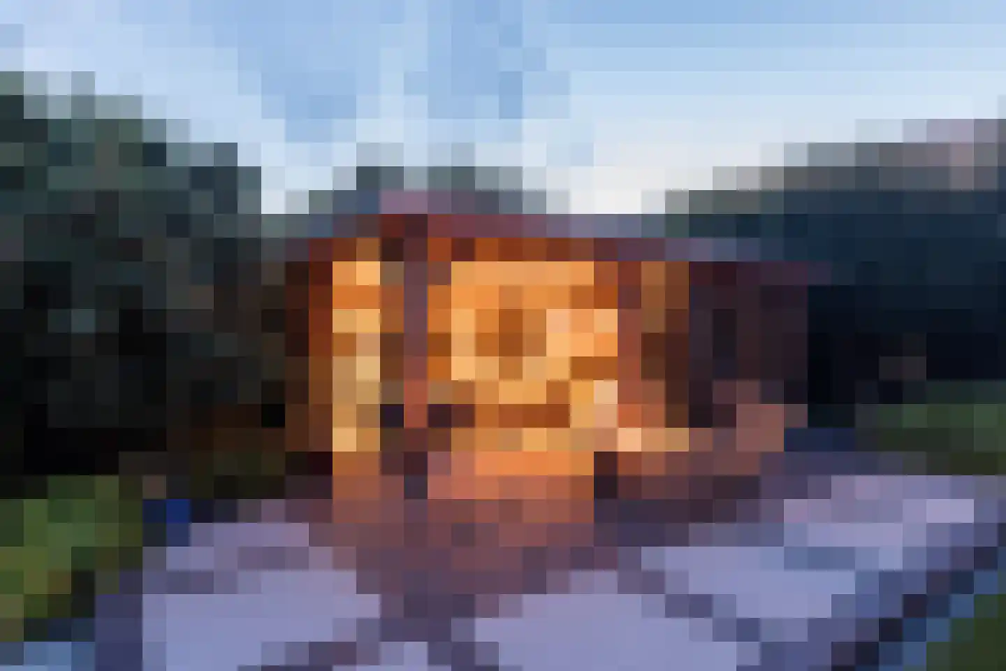 De Breide 6 Doesburg thumbnail 71