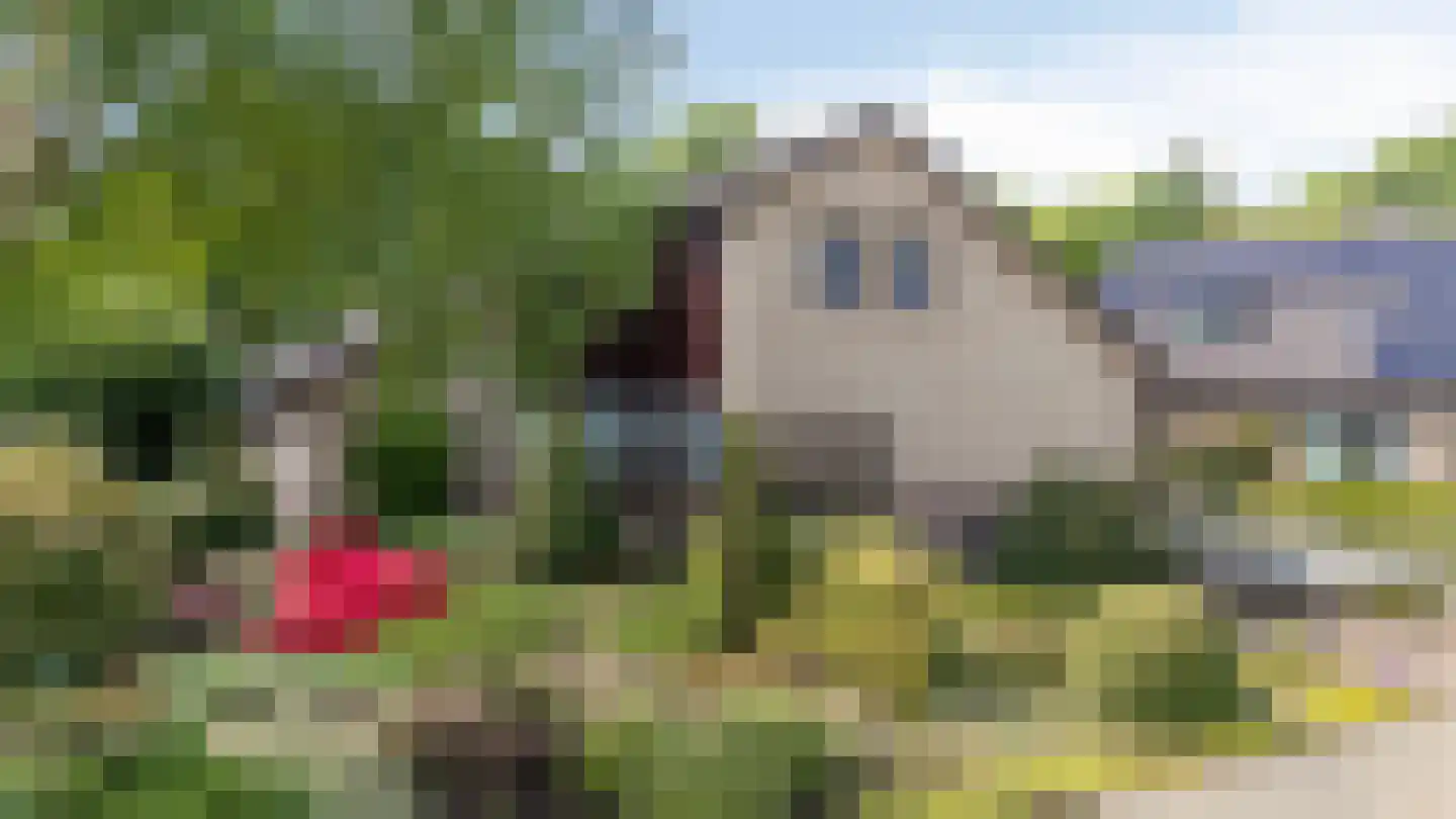 De Breide 69 Silvolde