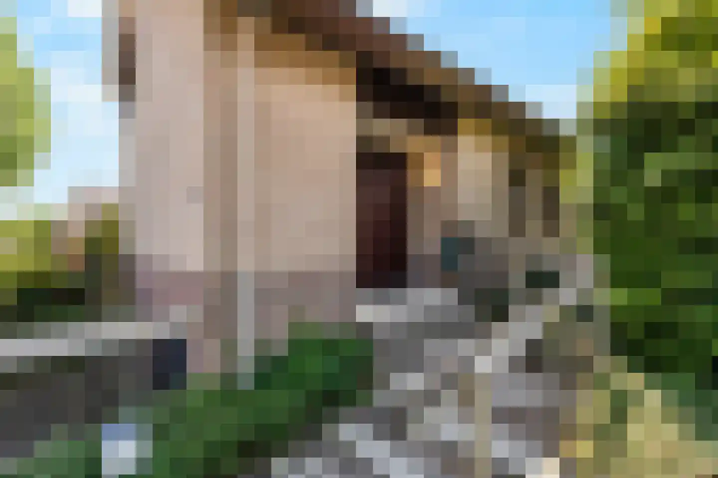 De Breide 69 Silvolde thumbnail 12