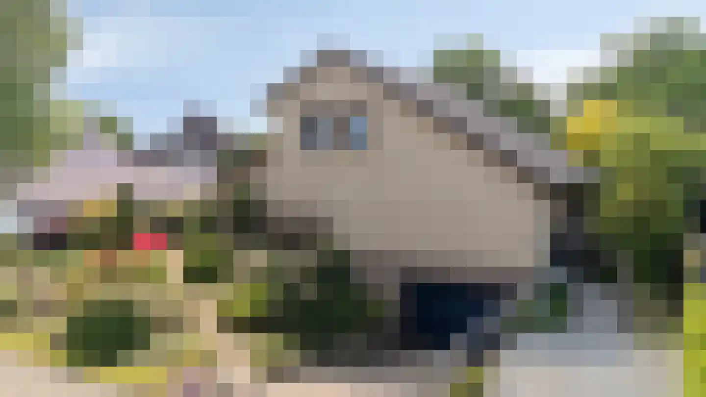 De Breide 69 Silvolde foto 2