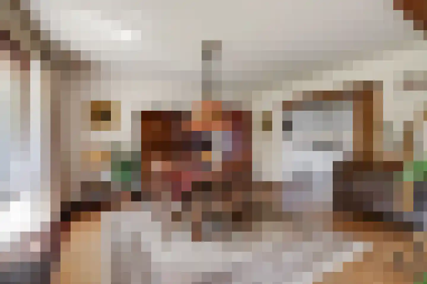 De Breide 69 Silvolde thumbnail 22