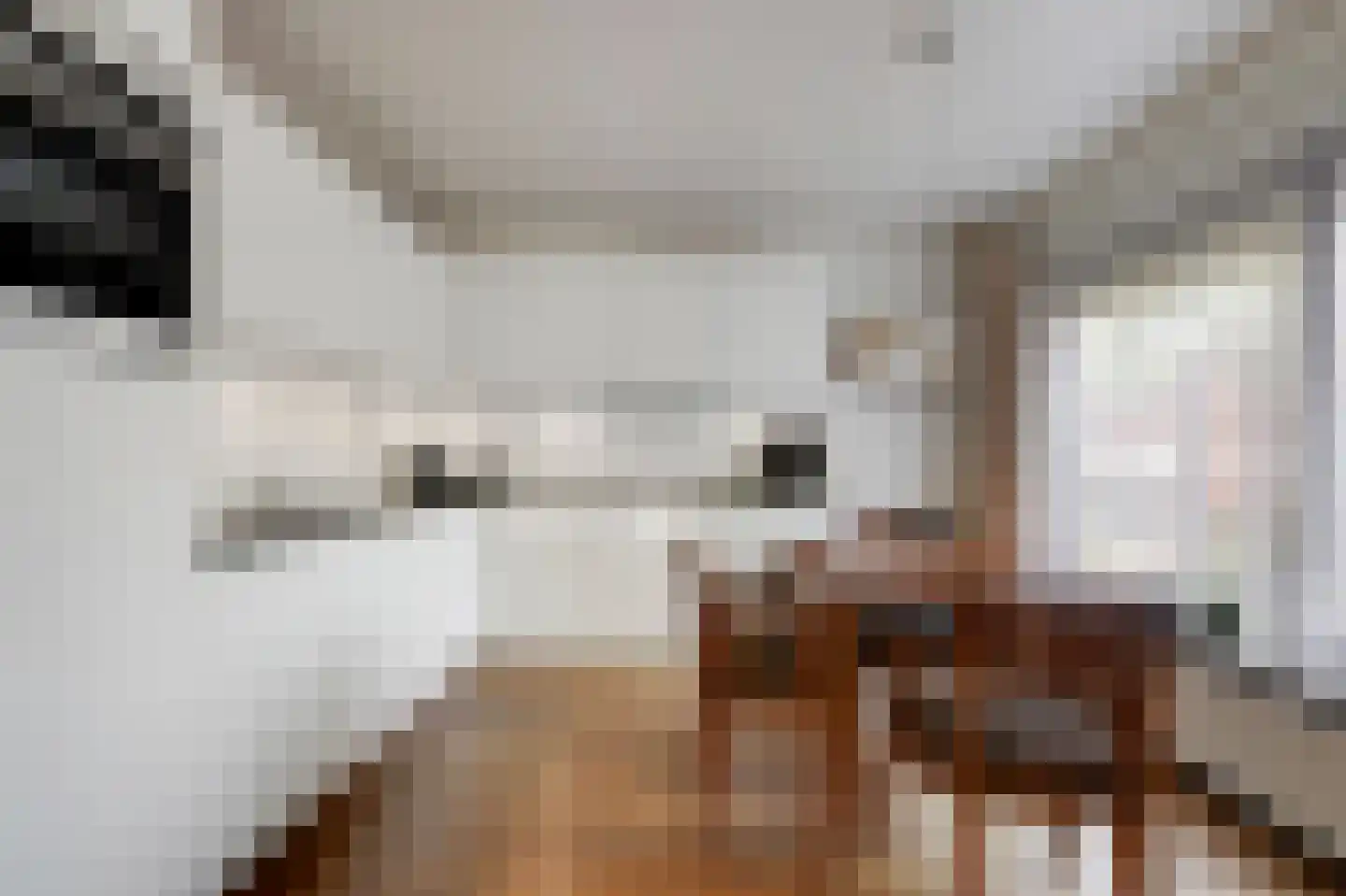 De Breide 69 Silvolde thumbnail 23
