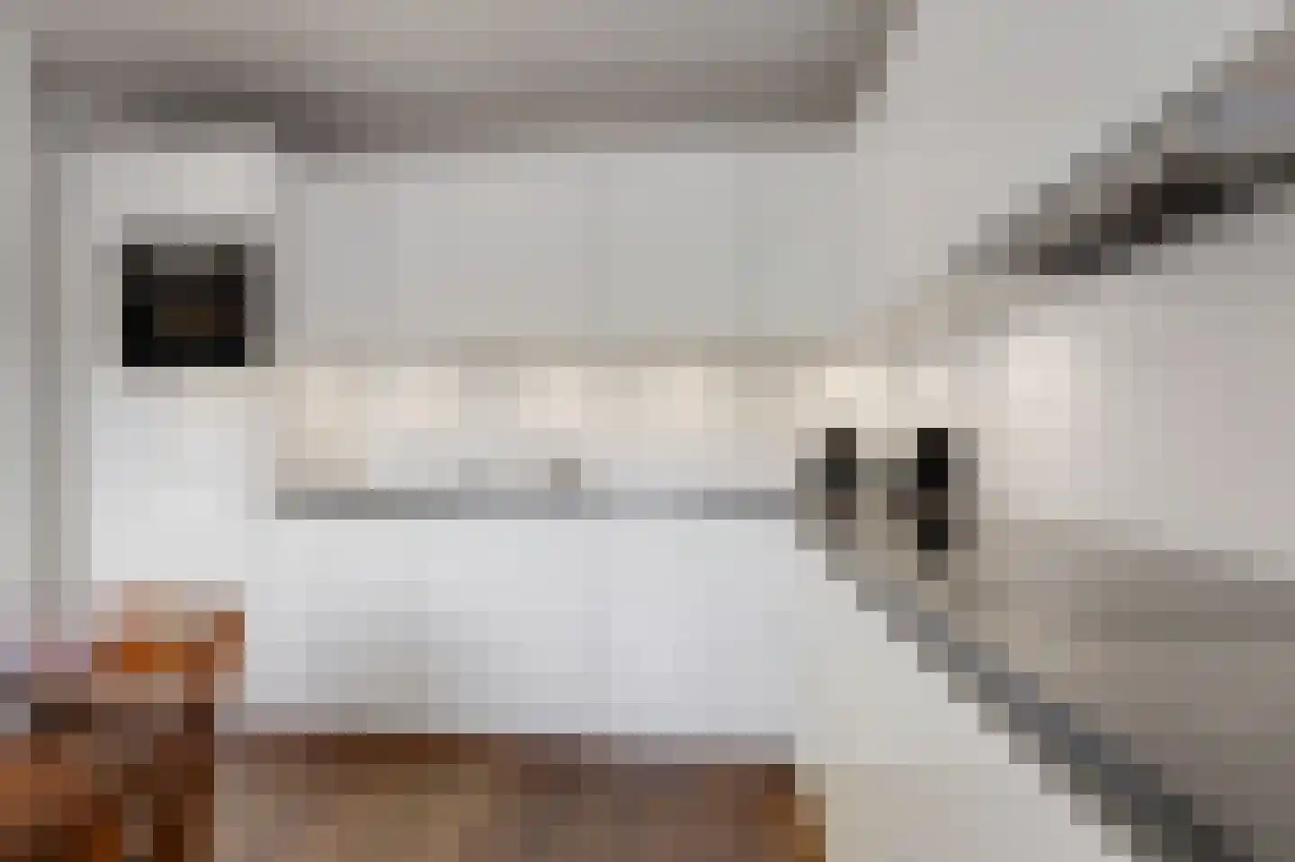 De Breide 69 Silvolde thumbnail 24