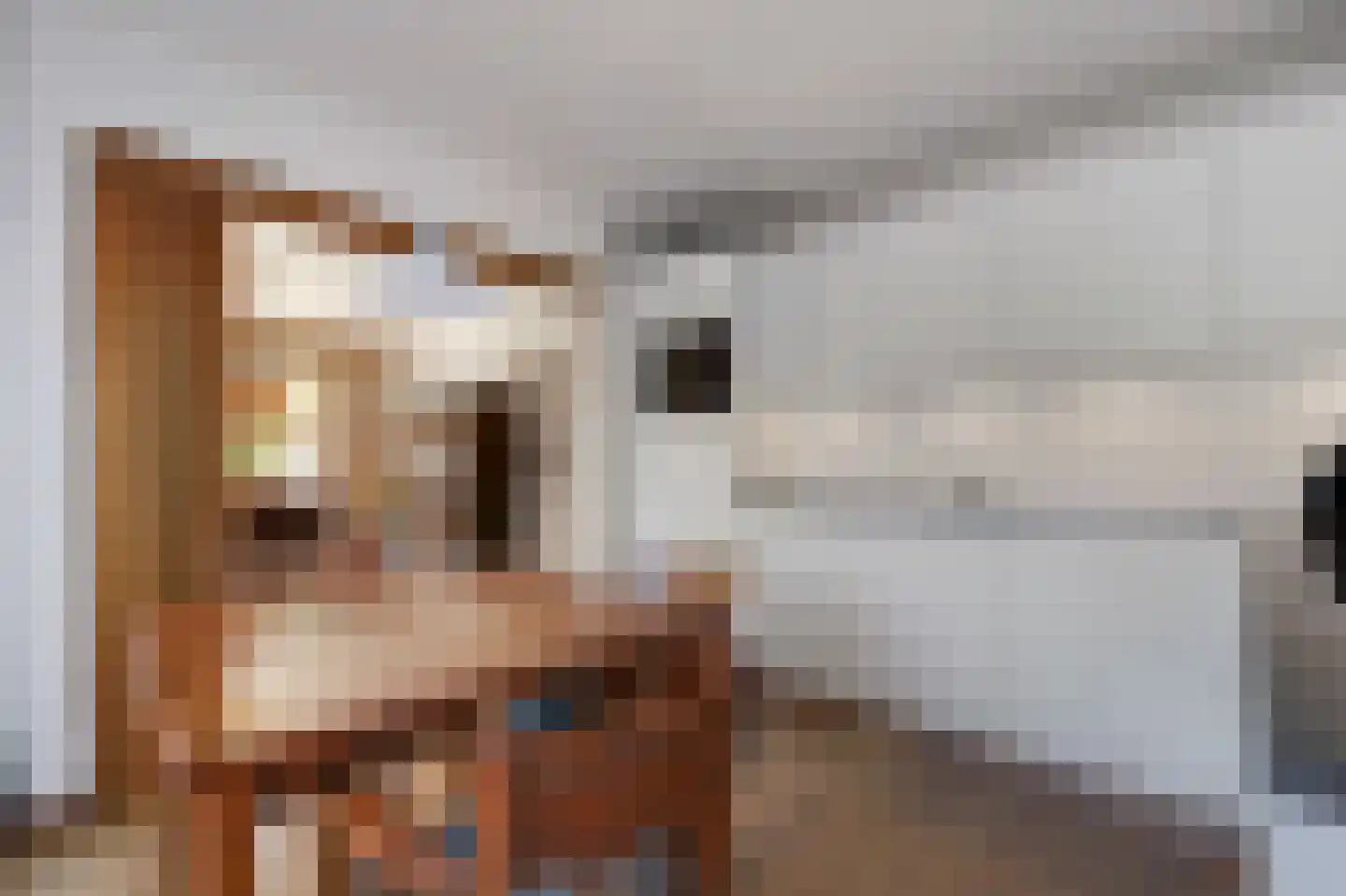 De Breide 69 Silvolde thumbnail 25