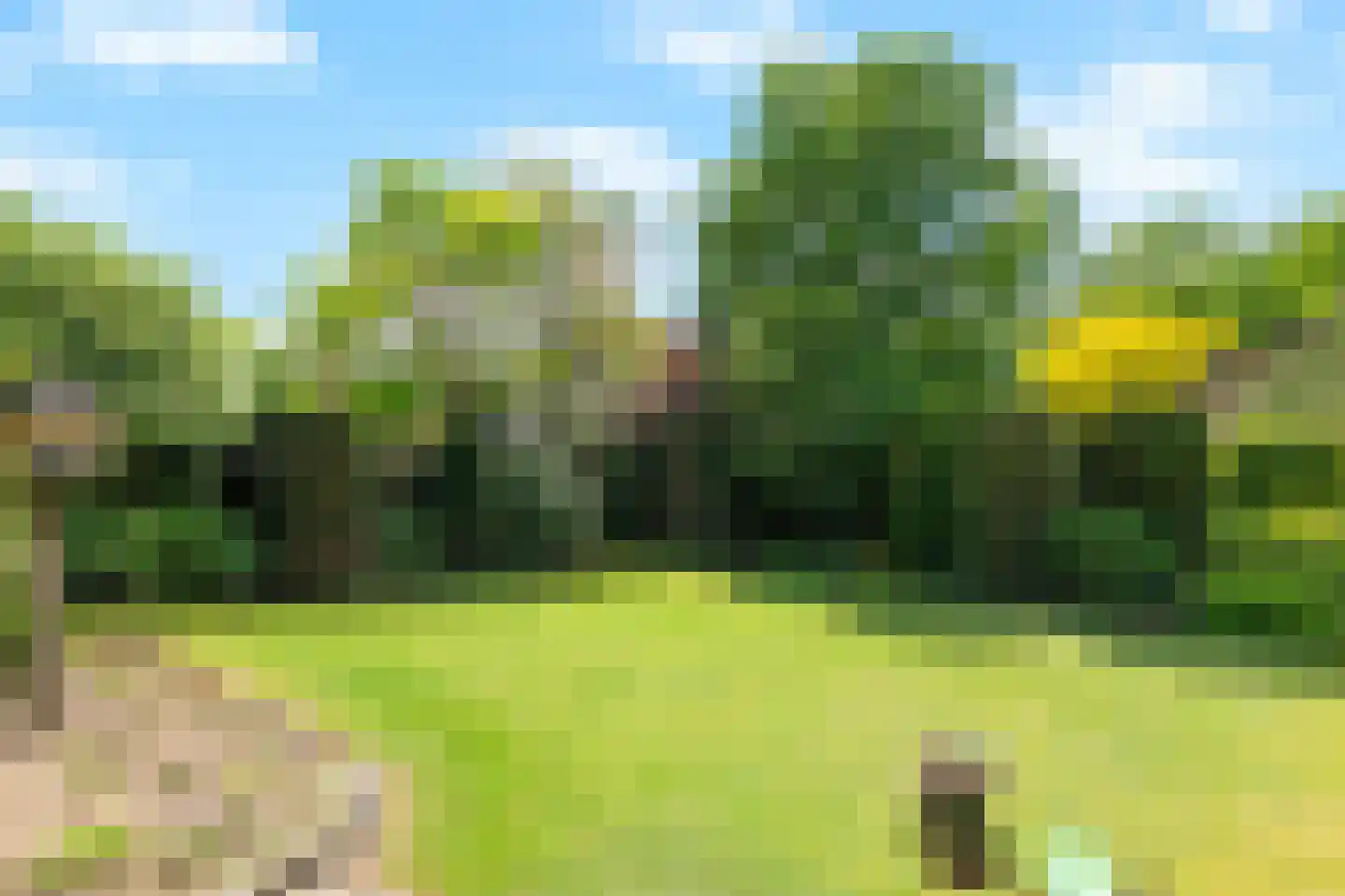 De Breide 69 Silvolde thumbnail 27