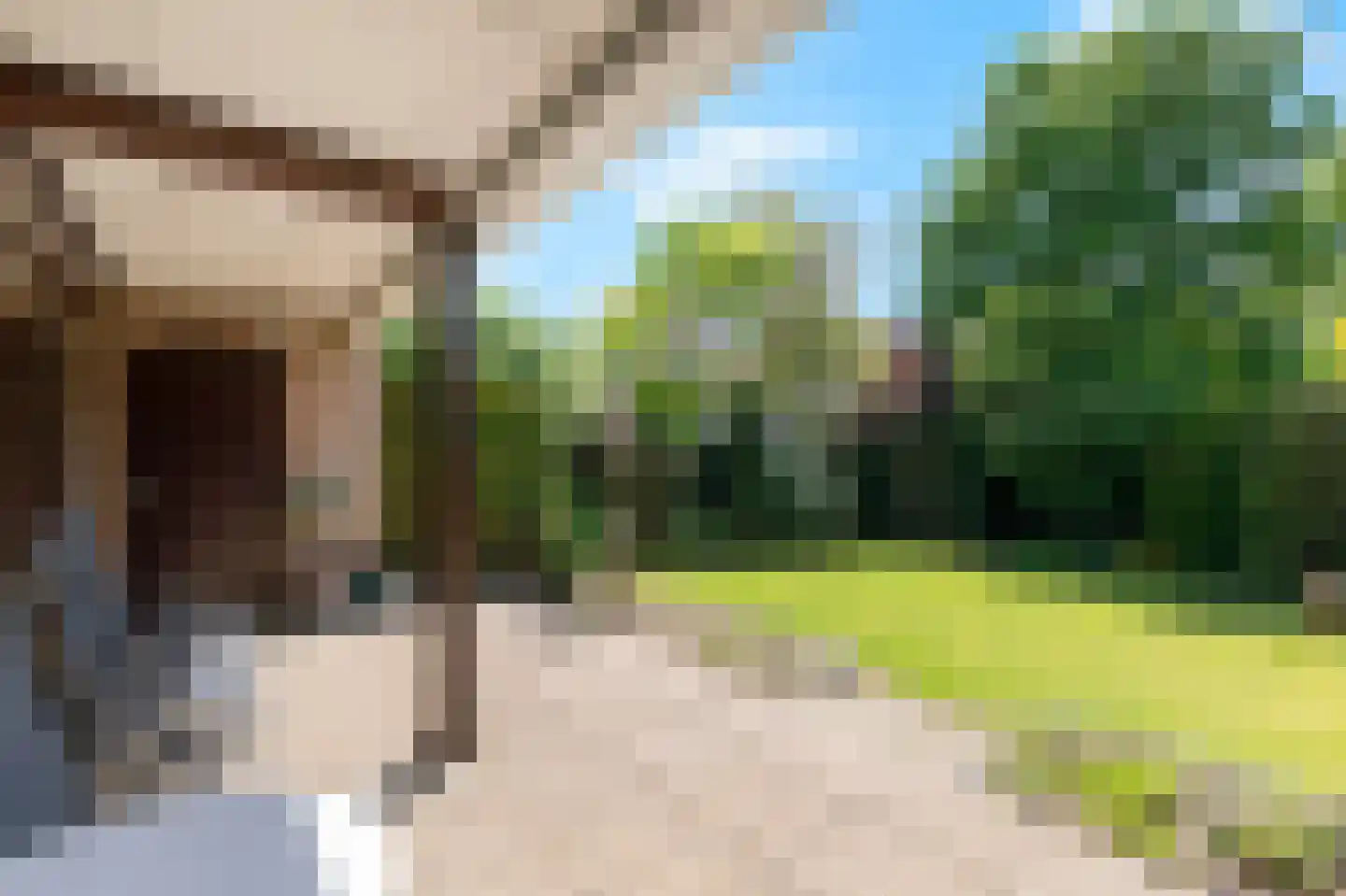 De Breide 69 Silvolde thumbnail 28