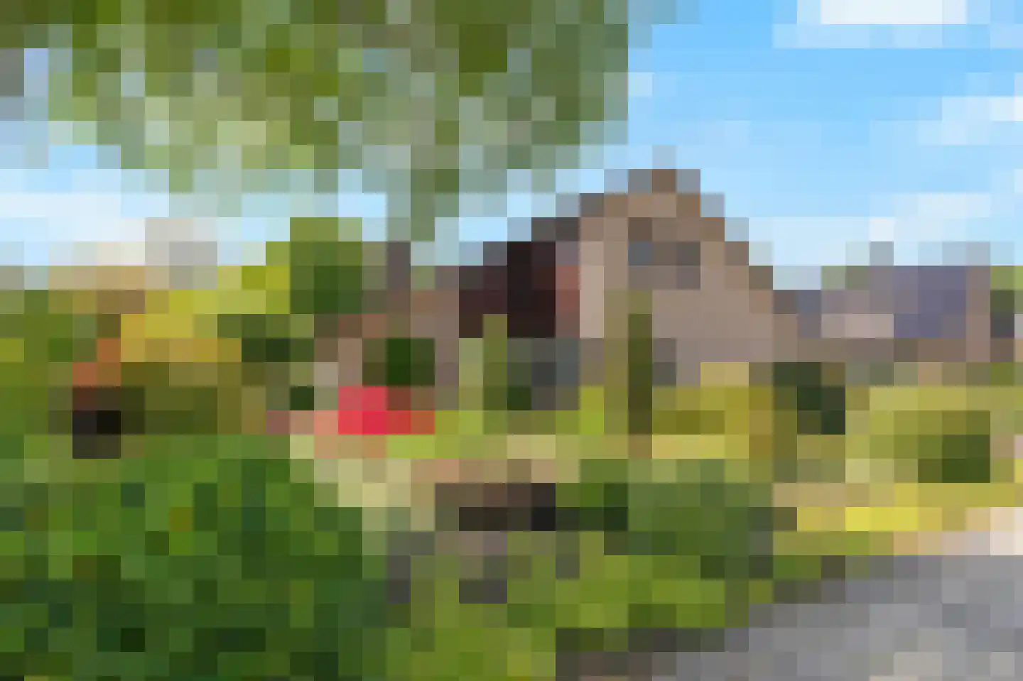 De Breide 69 Silvolde foto 3