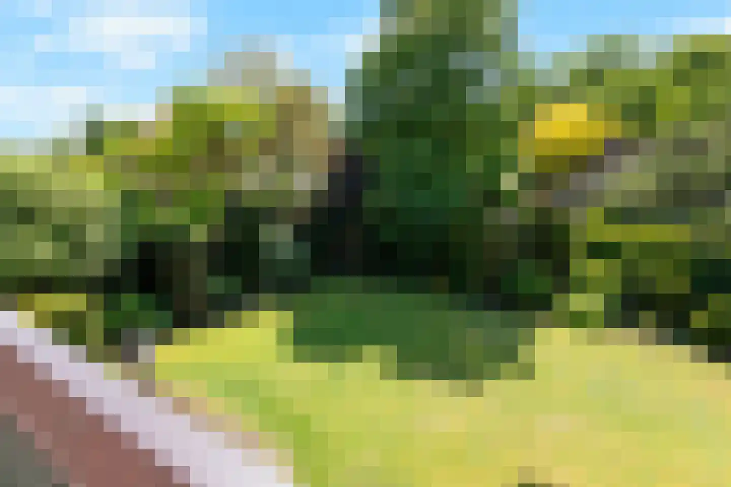 De Breide 69 Silvolde thumbnail 31