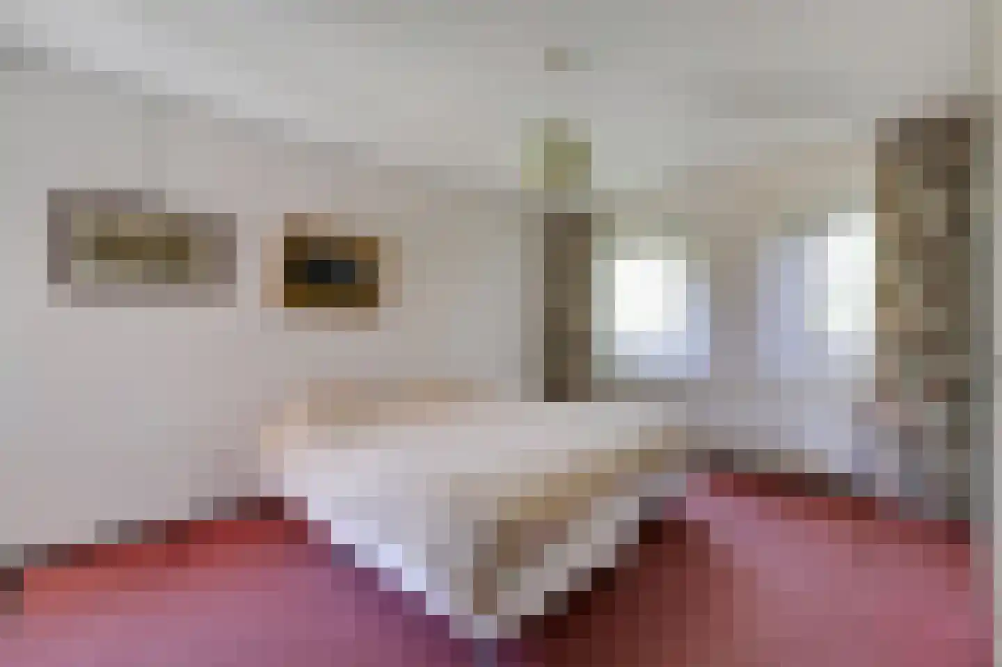 De Breide 69 Silvolde thumbnail 34