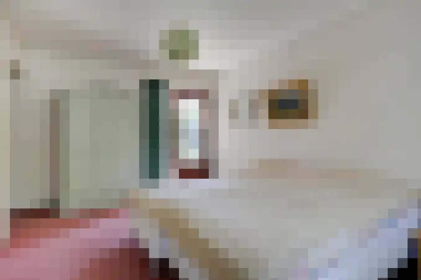 De Breide 69 Silvolde thumbnail 35