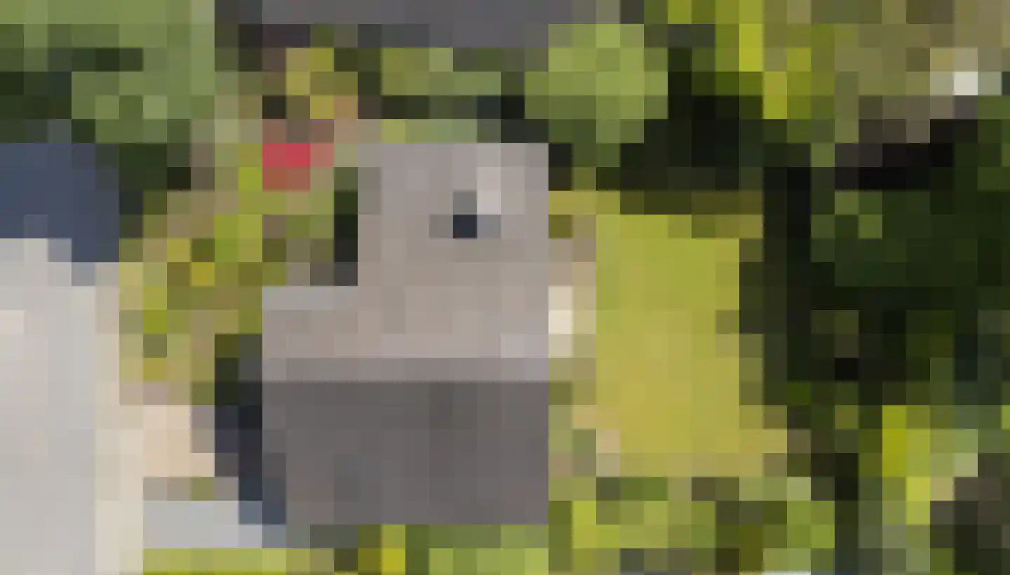 De Breide 69 Silvolde thumbnail 4