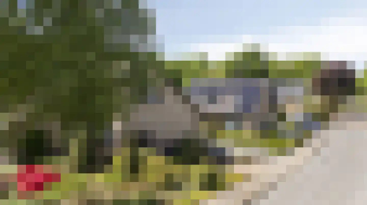De Breide 69 Silvolde thumbnail 49
