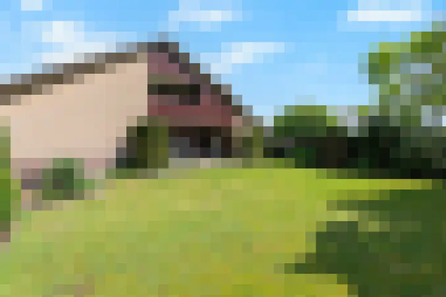 De Breide 69 Silvolde thumbnail 5