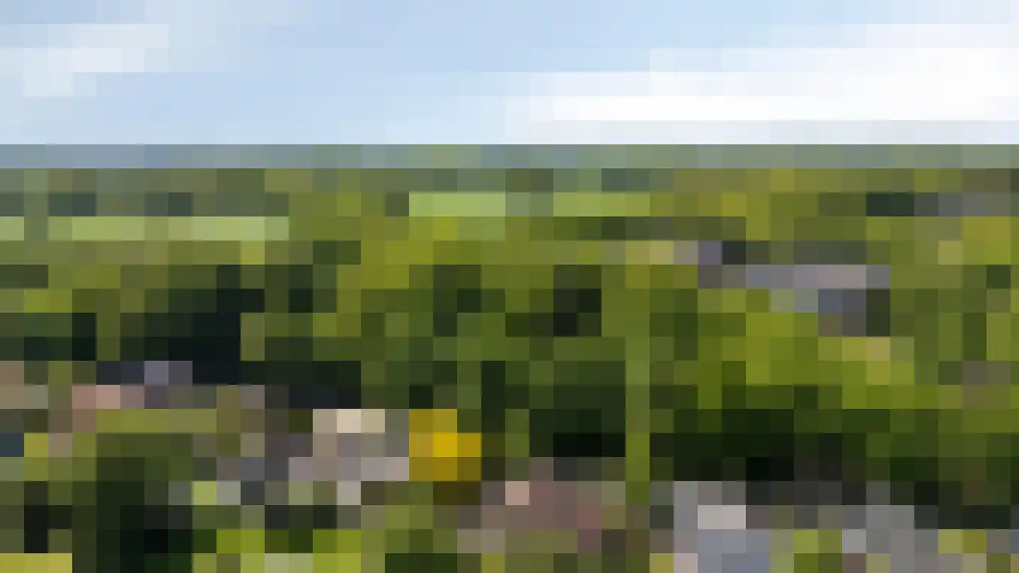 De Breide 69 Silvolde thumbnail 50